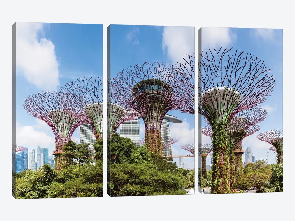 Panoramic Of Supertrees, Gardens By The Bay, Singapore by Matteo Colombo 3-piece Canvas Print