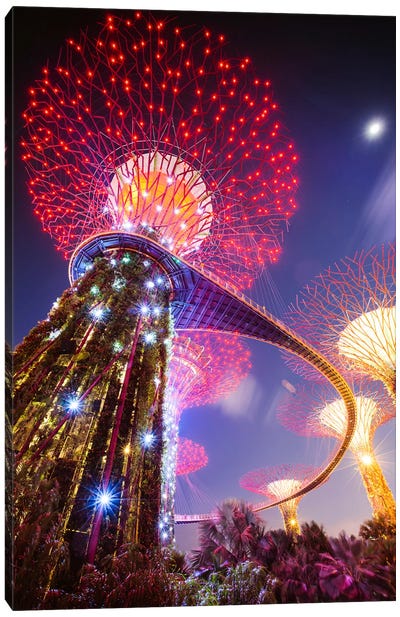 Supertree At Night, Gardens By The Bay, Singapore Canvas Art Print - City Park Art