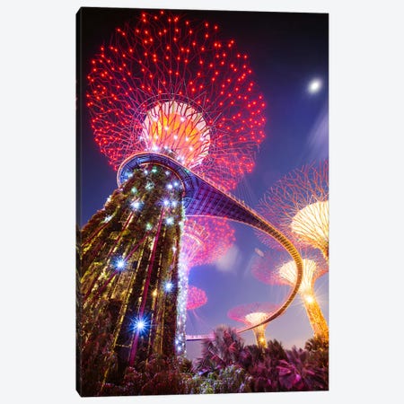 Supertree At Night, Gardens By The Bay, Singapore Canvas Print #TEO431} by Matteo Colombo Canvas Print