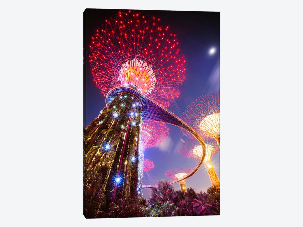 Supertree At Night, Gardens By The Bay, Singapore by Matteo Colombo 1-piece Art Print