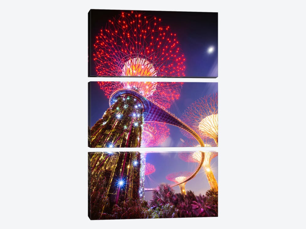 Supertree At Night, Gardens By The Bay, Singapore by Matteo Colombo 3-piece Canvas Print