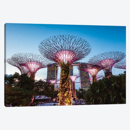 Supertree Grove At Night, Gardens By The Bay, Singapore Canvas Print #TEO432} by Matteo Colombo Canvas Art Print