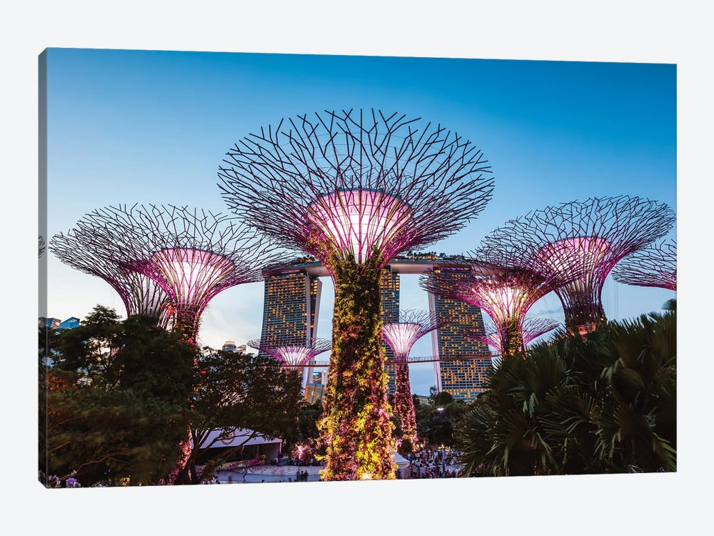 Supertree Grove At Night, Gardens By The Bay, Singapore by Matteo Colombo 1-piece Canvas Art
