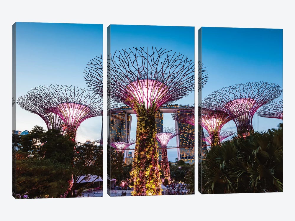 Supertree Grove At Night, Gardens By The Bay, Singapore by Matteo Colombo 3-piece Canvas Wall Art