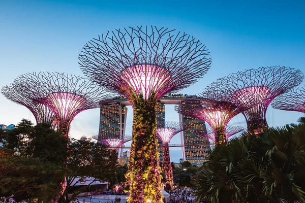 Singapore: Supertree Grove At Night, Gardens By The Bay, Singapore by Matteo Colombo