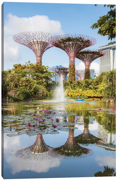 Supertrees At Gardens By The Bay, Singapore Canvas Art Print - City Park Art