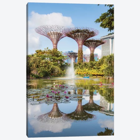 Supertrees At Gardens By The Bay, Singapore Canvas Print #TEO433} by Matteo Colombo Canvas Art Print