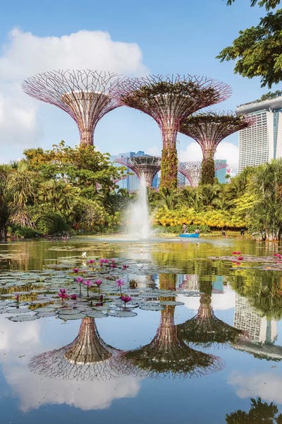 Singapore: Supertrees At Gardens By The Bay, Singapore by Matteo Colombo