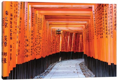 Torii Gates, Fushimi Inari Shrine, Kyoto, Japan I Canvas Art Print - Kyoto