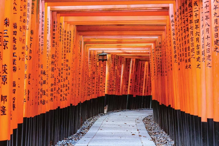 Torii Gates, Fushimi Inari Shrine, Kyoto, Japan I