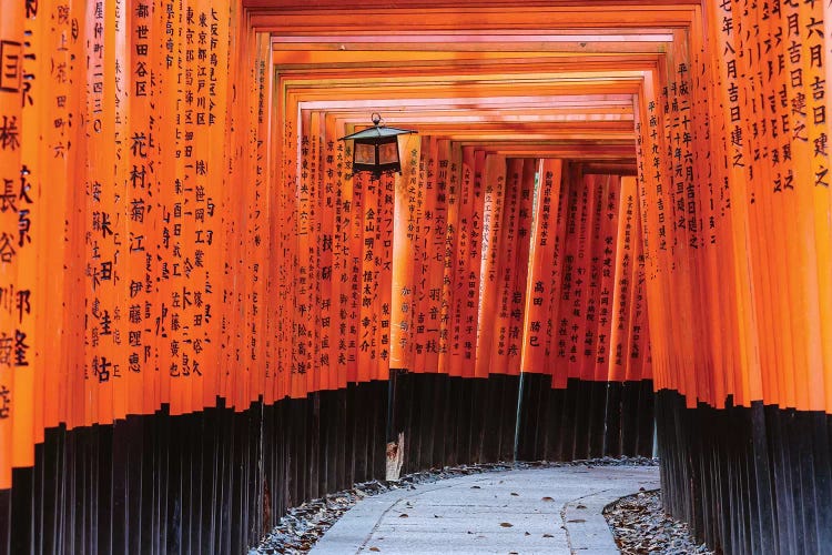 Torii Gates, Fushimi Inari Shrine, Kyoto, Japan II