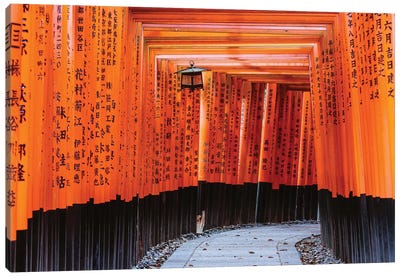 Torii Gates, Fushimi Inari Shrine, Kyoto, Japan II Canvas Art Print - Holy & Sacred Sites
