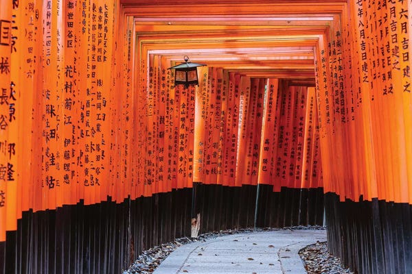 Places Of Worship: Torii Gates, Fushimi Inari Shrine, Kyoto, Japan II by Matteo Colombo