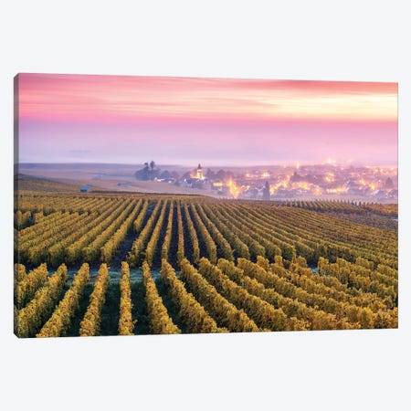 Vineyards In Autumn, Champagne, France Canvas Print #TEO454} by Matteo Colombo Canvas Wall Art