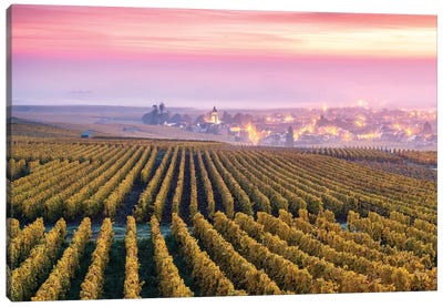 Vineyards In Autumn, Champagne, France Canvas Art Print - Vineyard Art