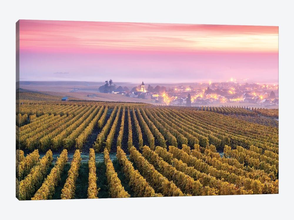 Vineyards In Autumn, Champagne, France by Matteo Colombo 1-piece Canvas Art