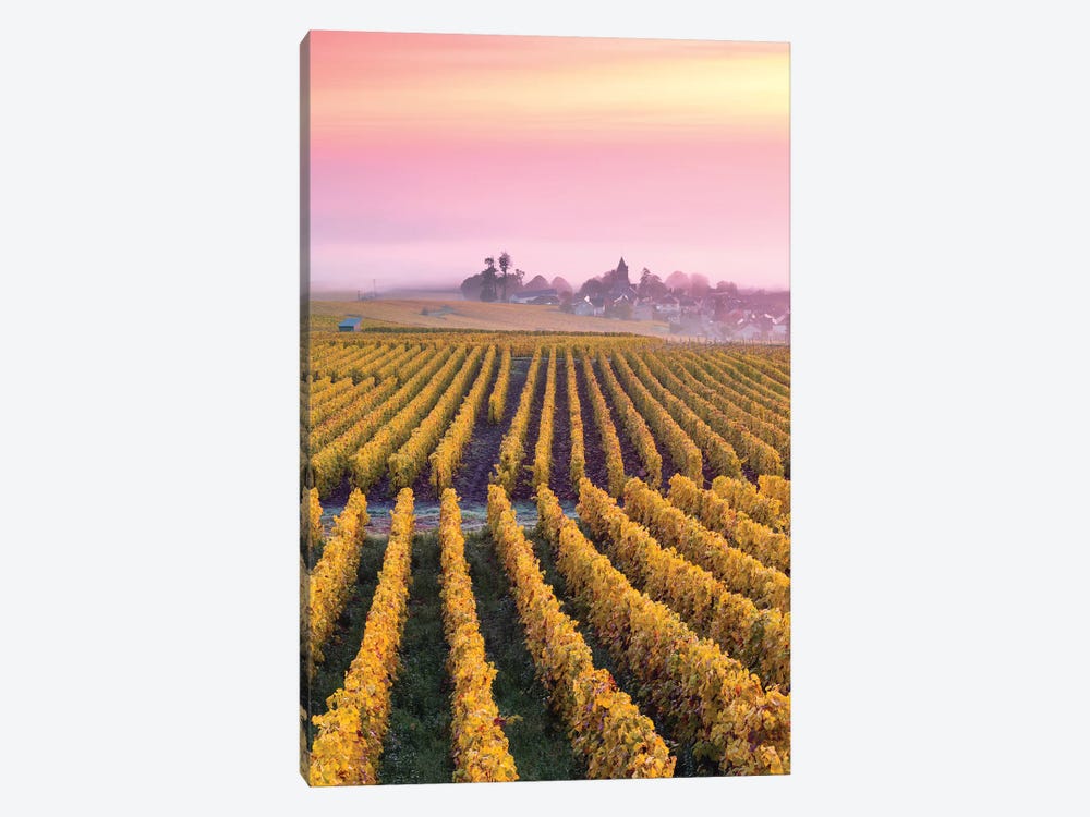Vineyards In Autumn, Champagne, France II by Matteo Colombo 1-piece Art Print