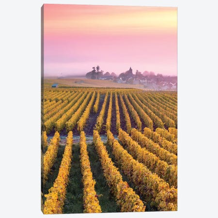 Vineyards In Autumn, Champagne, France II Canvas Print #TEO455} by Matteo Colombo Canvas Art