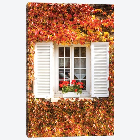 Window And Autumnal Vines Canvas Print #TEO457} by Matteo Colombo Canvas Wall Art