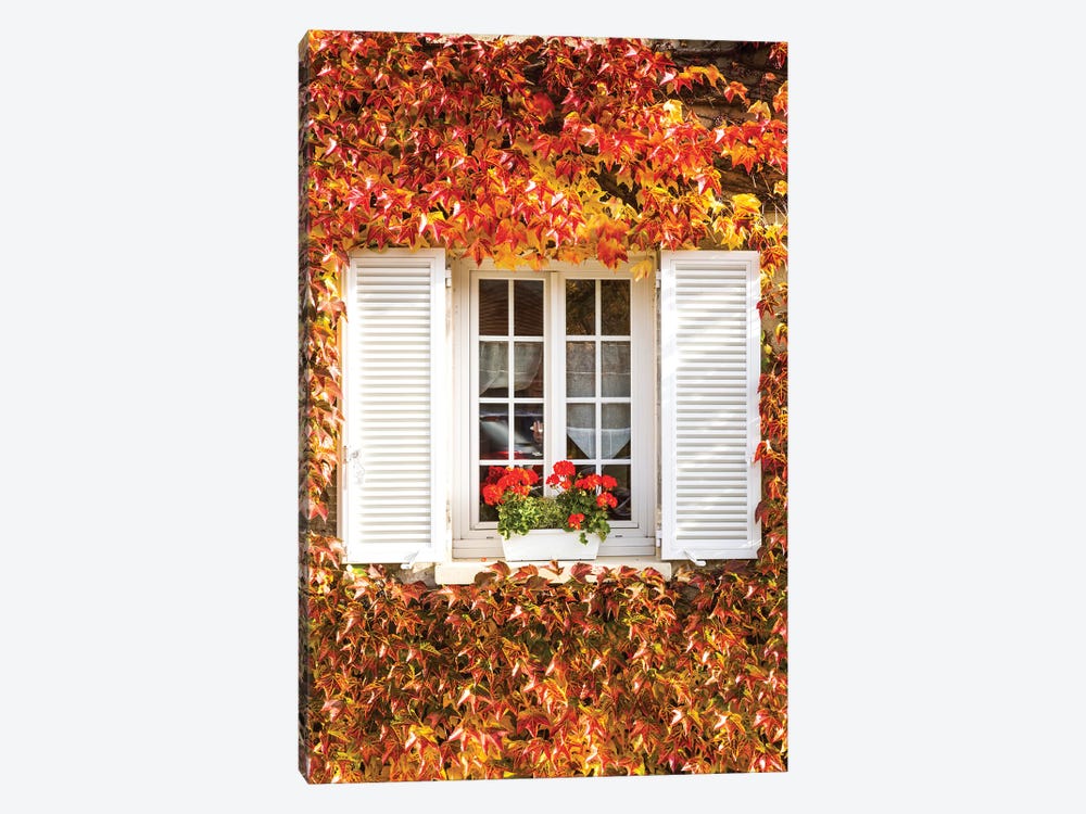 Window And Autumnal Vines by Matteo Colombo 1-piece Canvas Art Print