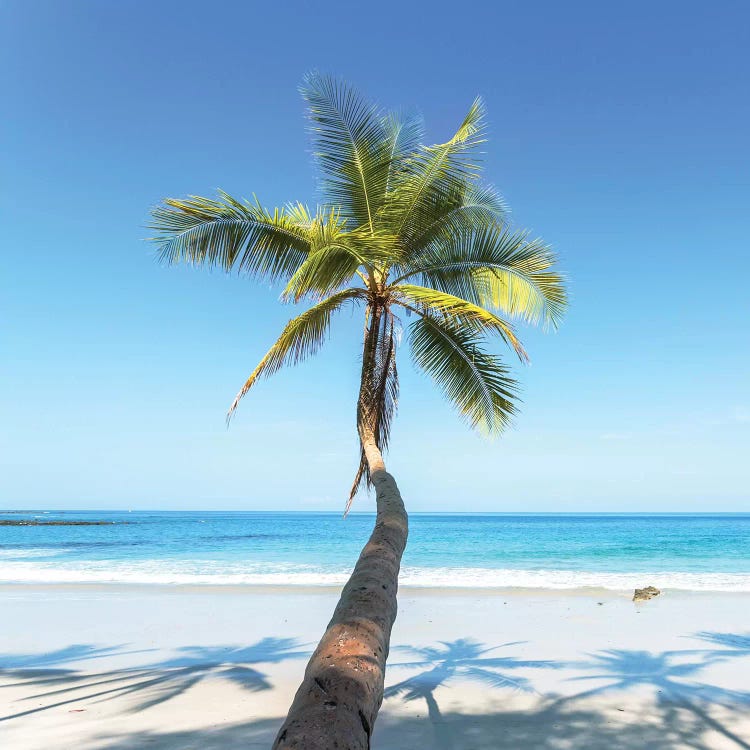 Beach In Costa Rica