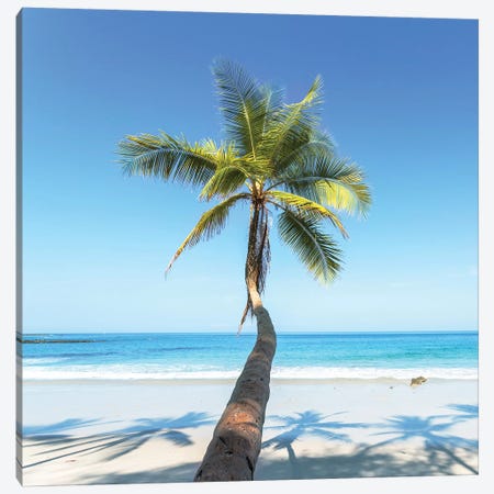 Beach In Costa Rica Canvas Print #TEO466} by Matteo Colombo Canvas Print