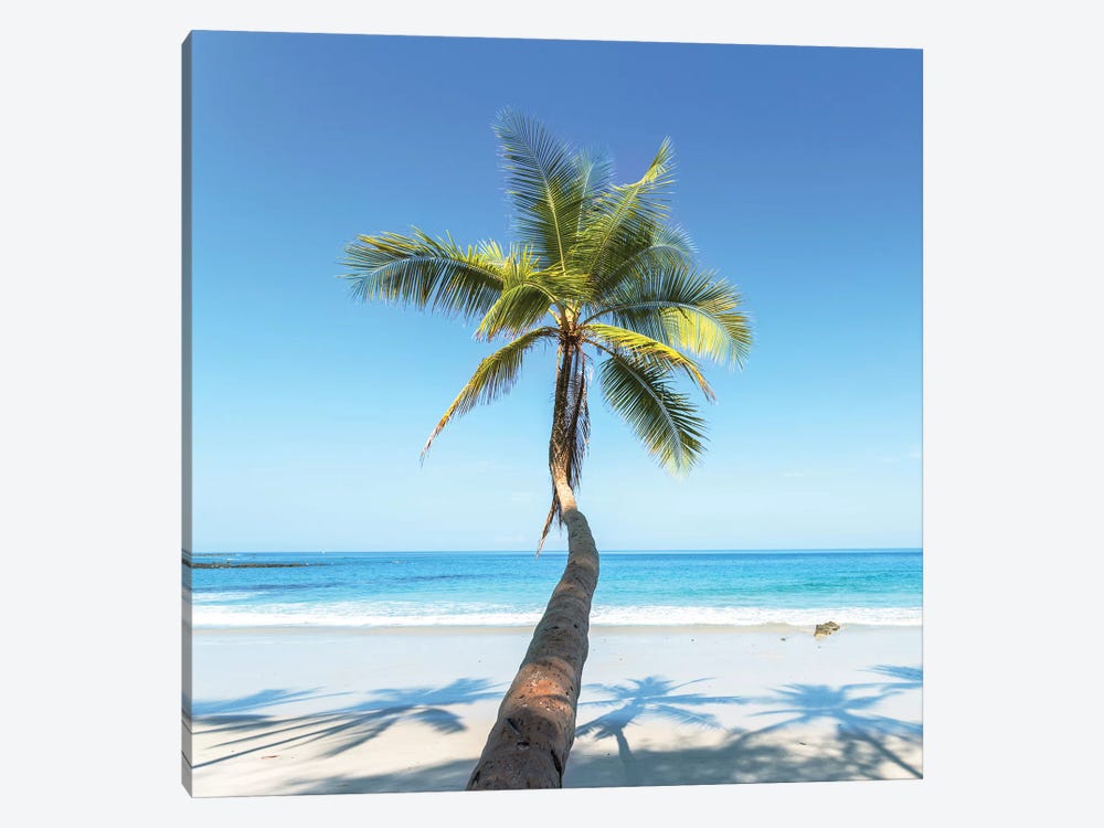 Beach In Costa Rica by Matteo Colombo 1-piece Canvas Art Print