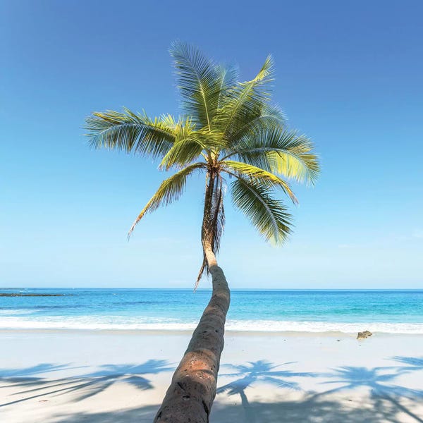 Central America: Beach In Costa Rica by Matteo Colombo