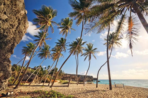 Tropical Beaches: Bottom Bay, Barbados, Caribbean by Matteo Colombo