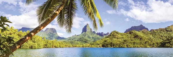 Tropical Beaches: Moorea, French Polynesia by Matteo Colombo