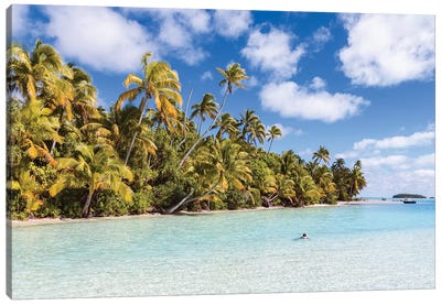 One Foot Island, Cook Islands I Canvas Art Print - Palm Tree Art