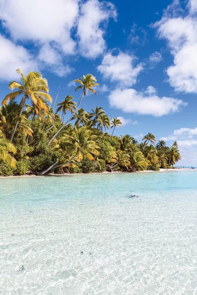 Cook Islands: One Foot Island, Cook Islands II by Matteo Colombo
