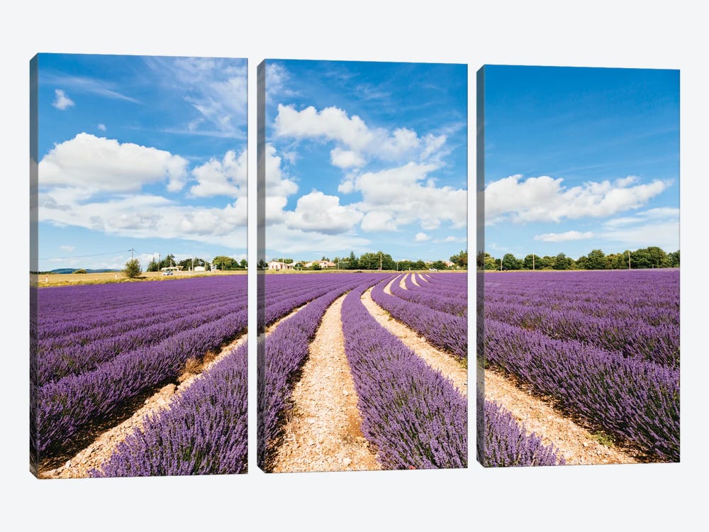 Lavender Field In Summer, Provence, France by Matteo Colombo 3-piece Canvas Art Print