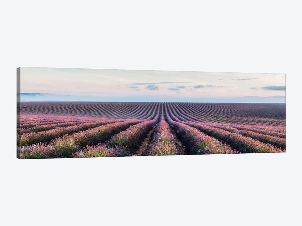Lavender Field, Provence, France by Matteo Colombo 1-piece Canvas Wall Art