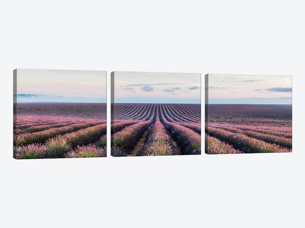 Lavender Field, Provence, France by Matteo Colombo 3-piece Canvas Artwork