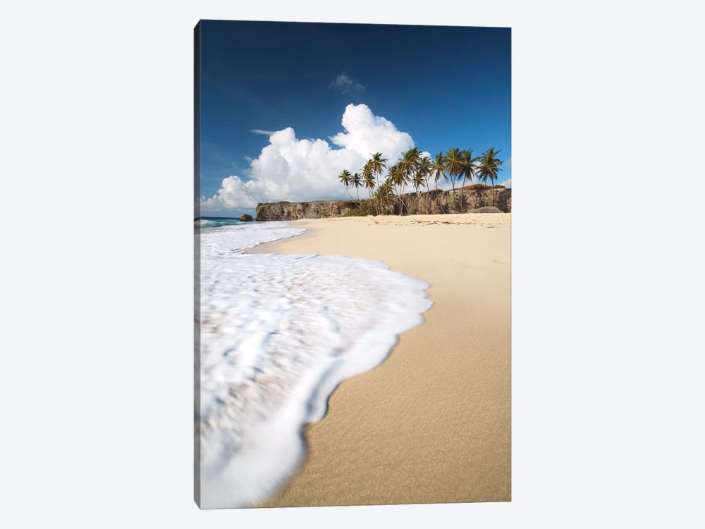 Tropical Beach In Barbados by Matteo Colombo 1-piece Art Print