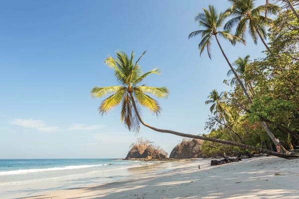 Central America: Tropical Beach, Costa Rica by Matteo Colombo