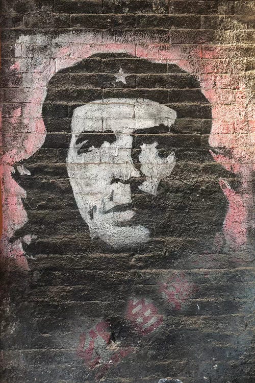 Che Guevara Murales by Matteo Colombo wall art