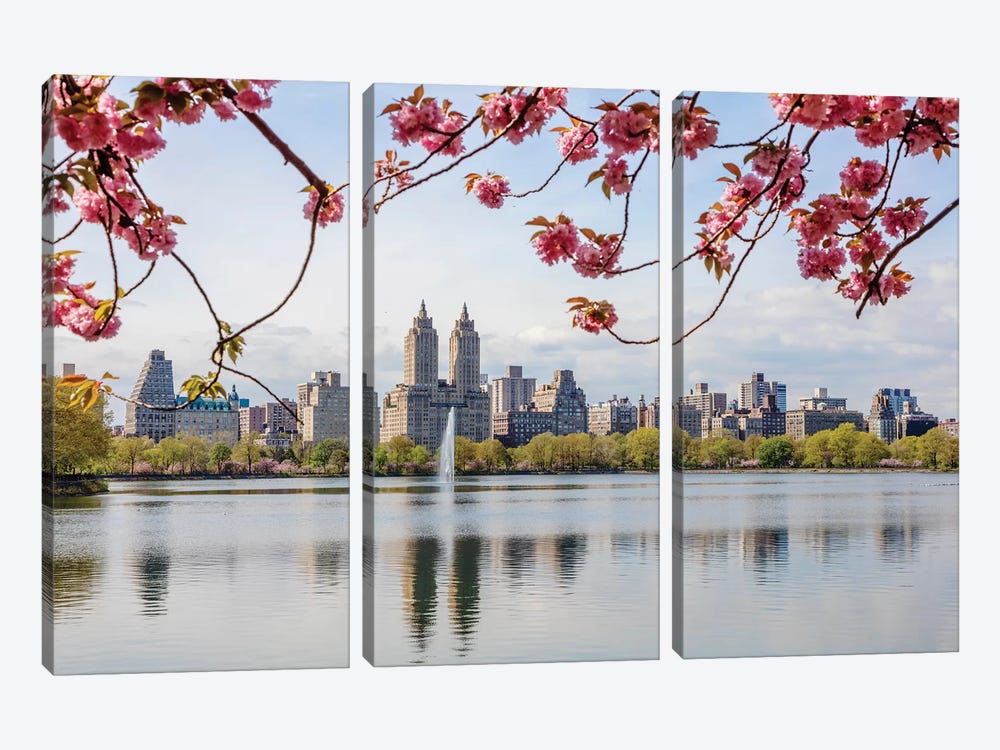 Cherry Blossom In Central Park, New York City I by Matteo Colombo 3-piece Canvas Art