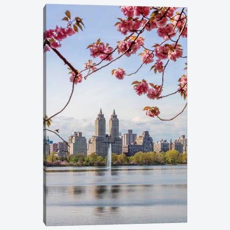 Cherry Blossom In Central Park, New York City II Canvas Print #TEO560} by Matteo Colombo Canvas Print