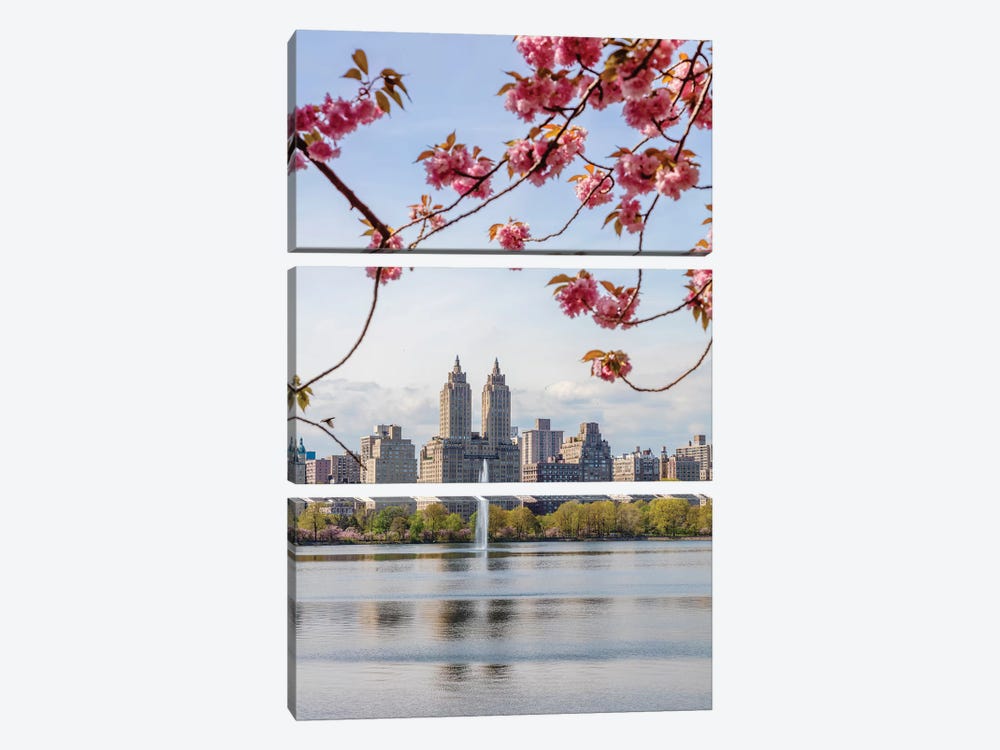 Cherry Blossom In Central Park, New York City II by Matteo Colombo 3-piece Canvas Art
