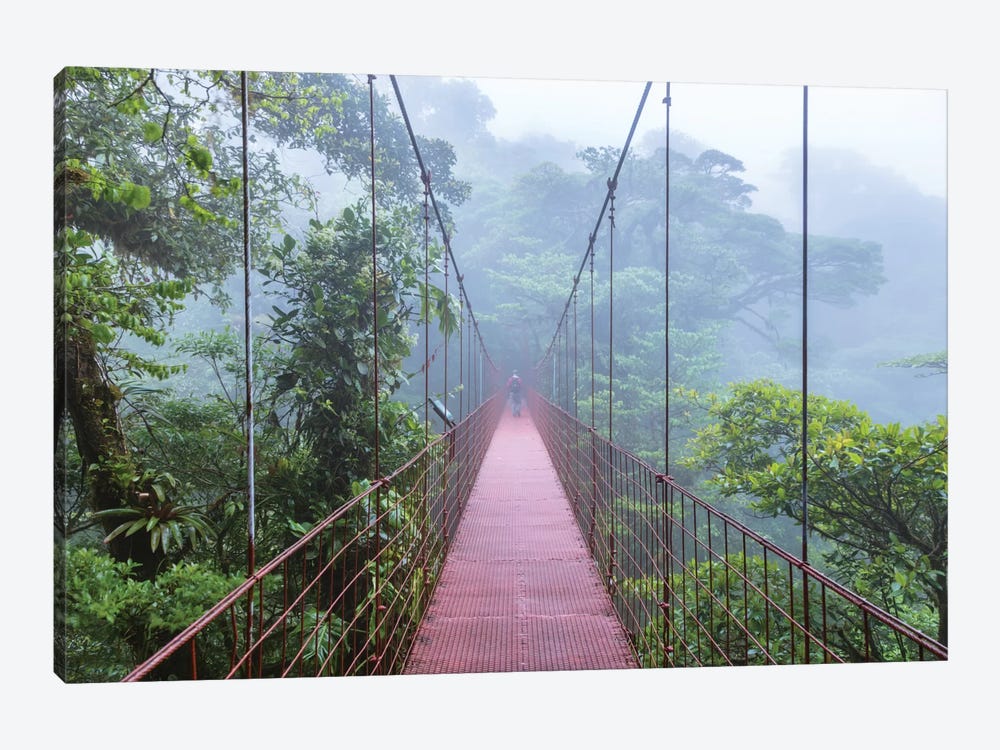 Man On A Suspension Bridge, Monteverde Cloud Forest Reserve, Costa Rica by Matteo Colombo 1-piece Art Print