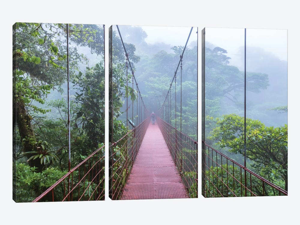 Man On A Suspension Bridge, Monteverde Cloud Forest Reserve, Costa Rica by Matteo Colombo 3-piece Art Print
