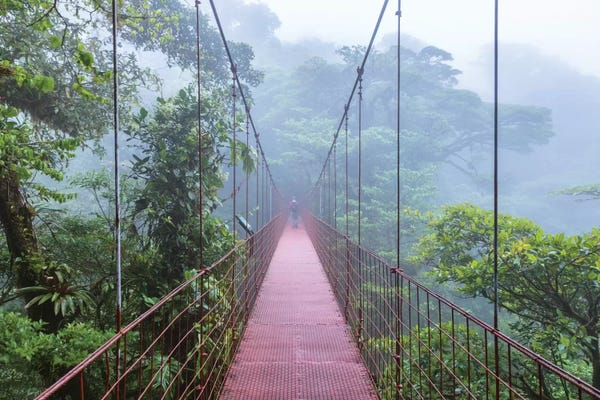 Bridges: Man On A Suspension Bridge, Monteverde Cloud Forest Reserve, Costa Rica by Matteo Colombo