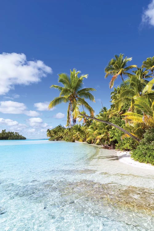 Dream Beach On One Foot Island, Cook Islands