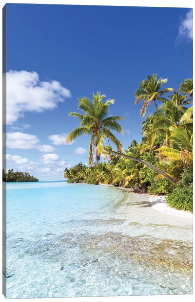 Dream Beach On One Foot Island, Cook Islands Canvas Art Print - Palm Tree Art
