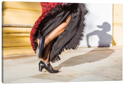 Flamenco Dancer In Seville, Andalusia, Spain Canvas Art Print - Poetry in Motion
