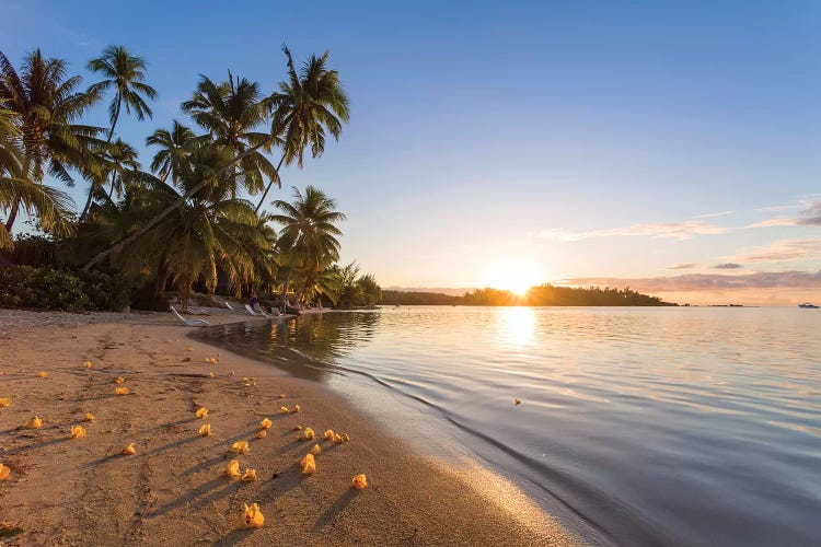 Last Light On Moorea, French Polynesia