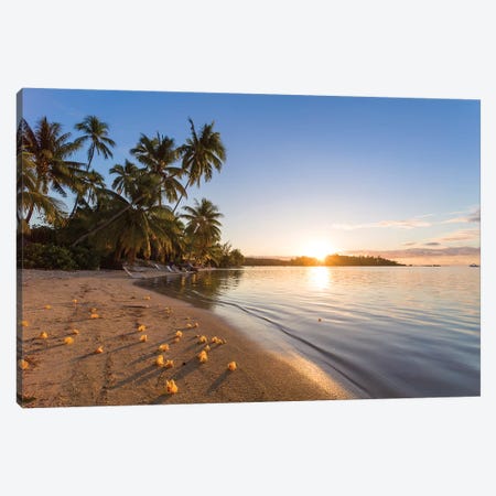Last Light On Moorea, French Polynesia Canvas Print #TEO591} by Matteo Colombo Canvas Artwork