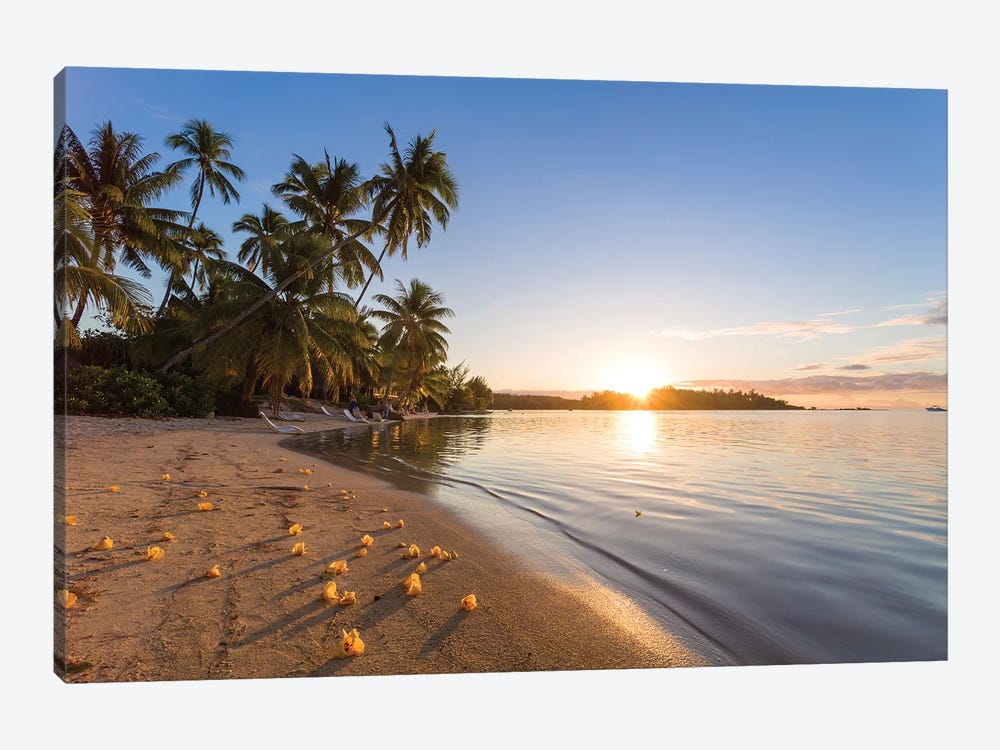Last Light On Moorea, French Polynesia by Matteo Colombo 1-piece Canvas Artwork